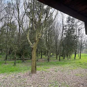 Woods , Verona Italië